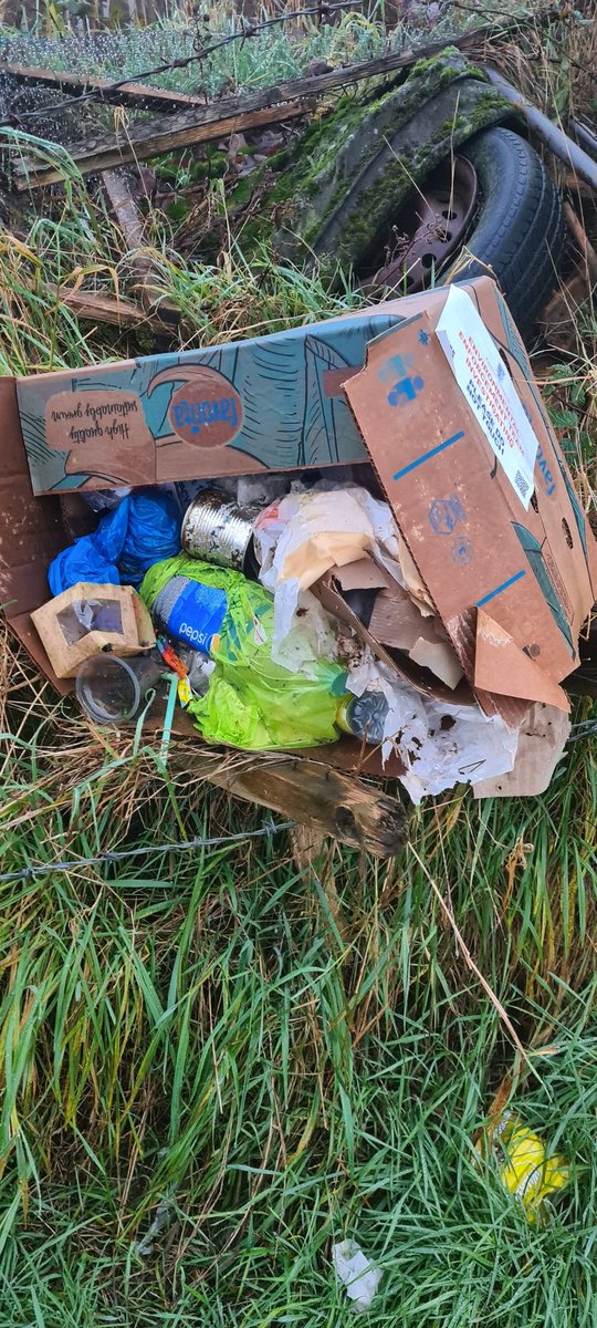 Caroldingdong's tweet photo. @falkirkcouncil all very well you are aware of this, but when are you removing it. This was reported weeks ago https://t.co/fLwcbtYoxb