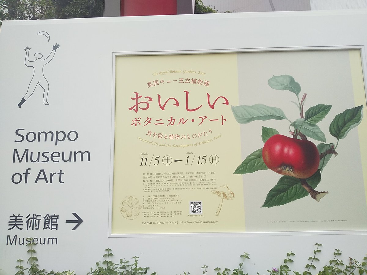 物凄く楽しみにしてた英国キュー植物園おいしいボタニカルアート展に行ってきました
博物画及びボタニカルアートが好きで特に果物が好きで、このウィリアムフッカーの林檎がめちゃめちゃ好きなので入り口でわーーーーーーーー!!!てなりました 