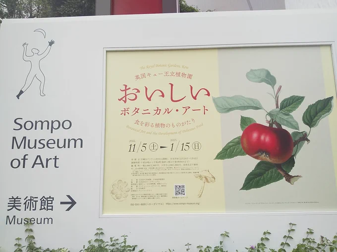 物凄く楽しみにしてた英国キュー植物園おいしいボタニカルアート展に行ってきました
博物画及びボタニカルアートが好きで特に果物が好きで、このウィリアムフッカーの林檎がめちゃめちゃ好きなので入り口でわーーーーーーーー!!!てなりました 