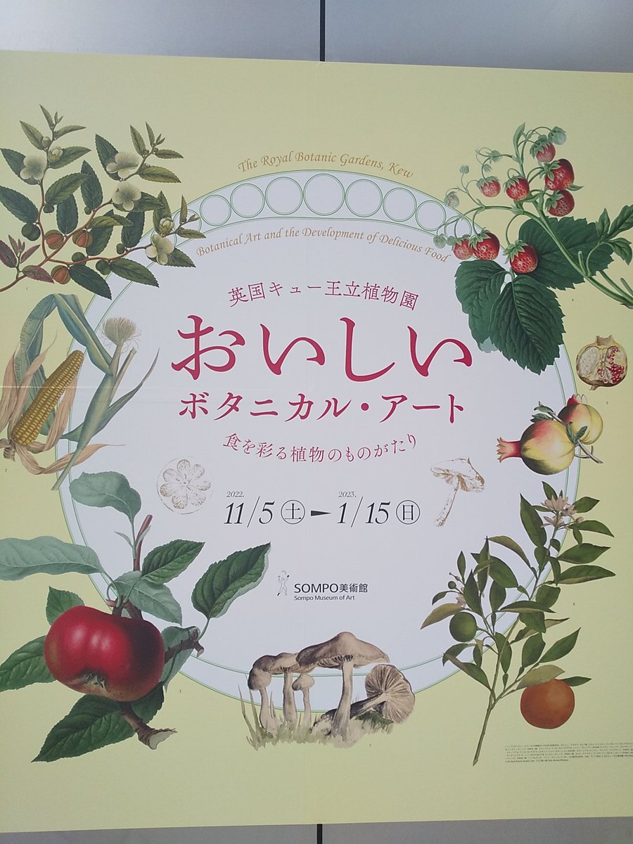 物凄く楽しみにしてた英国キュー植物園おいしいボタニカルアート展に行ってきました
博物画及びボタニカルアートが好きで特に果物が好きで、このウィリアムフッカーの林檎がめちゃめちゃ好きなので入り口でわーーーーーーーー!!!てなりました 