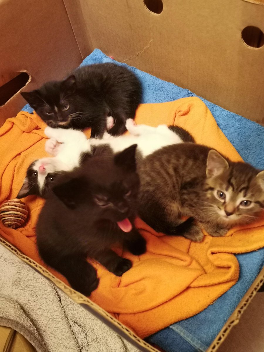 They are sitting there. Like criminals! redd.it/z7gsn9