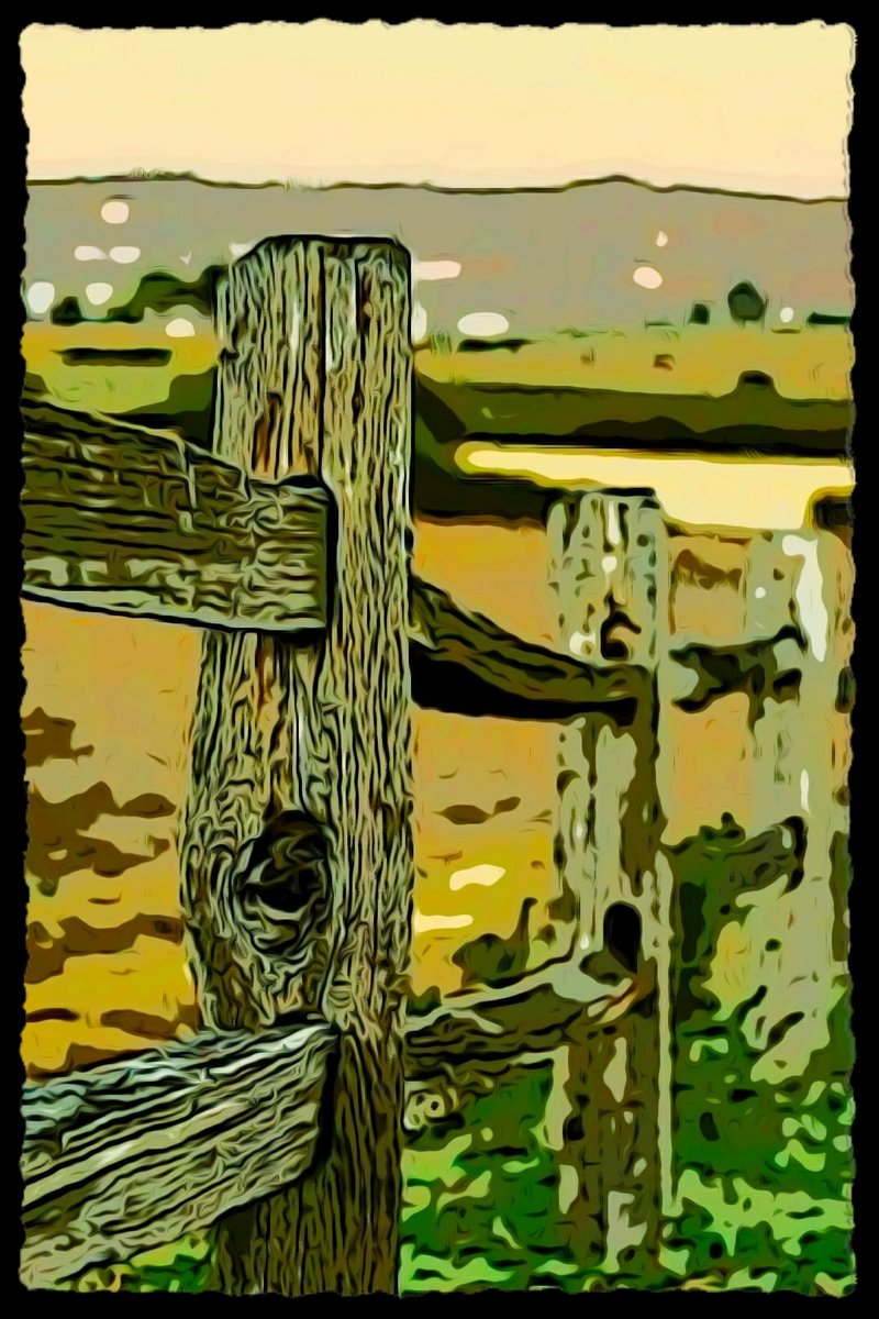 palmofhand's tweet image. #funwithphotography