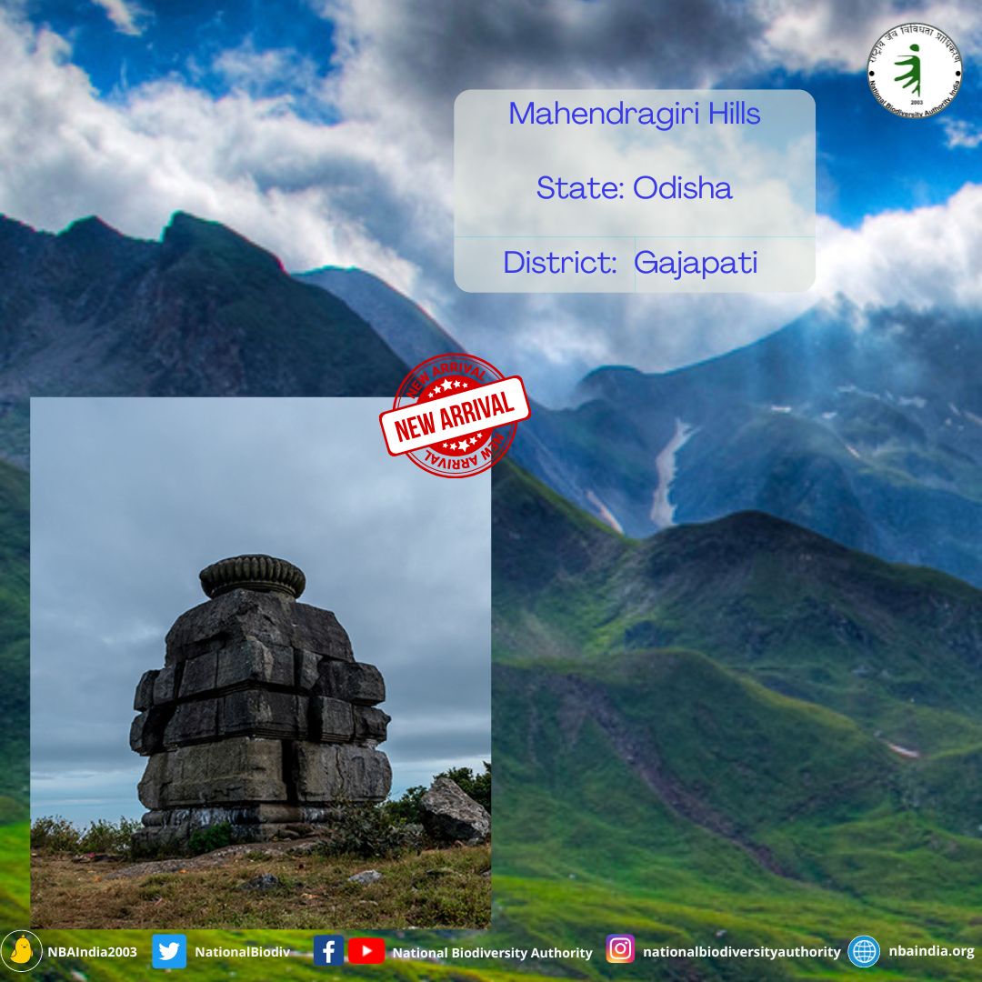 The hill eco-system acts as a transitional zone between the flora and fauna of Western Ghats and the Himalayan biogeographic zones, making the region an ecological estuary of genetic diversities. 
<a href="/odisha_tourism/">Odisha Tourism</a> <a href="/Obb_odisha/">Odisha Biodiversity Board</a> <a href="/IPR_Odisha/">I & PR Department, Odisha</a> <a href="/CMO_Odisha/">CMO Odisha</a> <a href="/SecyChief/">ChiefSecyOdisha</a>