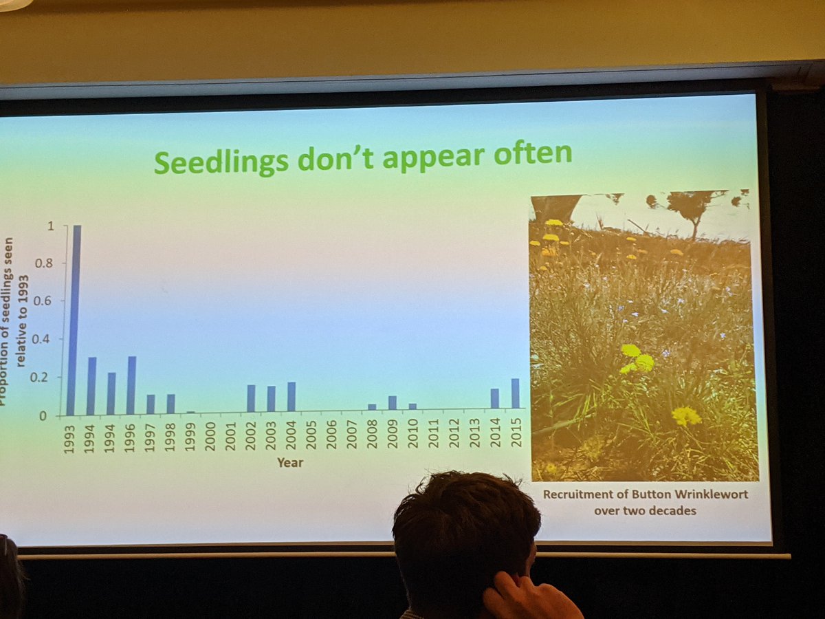 How does a grassland grow? 

John Morgan gets to the 'root' of the problem is that regeneration from seed is not common in grasslands and regenerative traits such as resource storage in below ground structures are allowing grassland species to persist #ESASCBO2022
