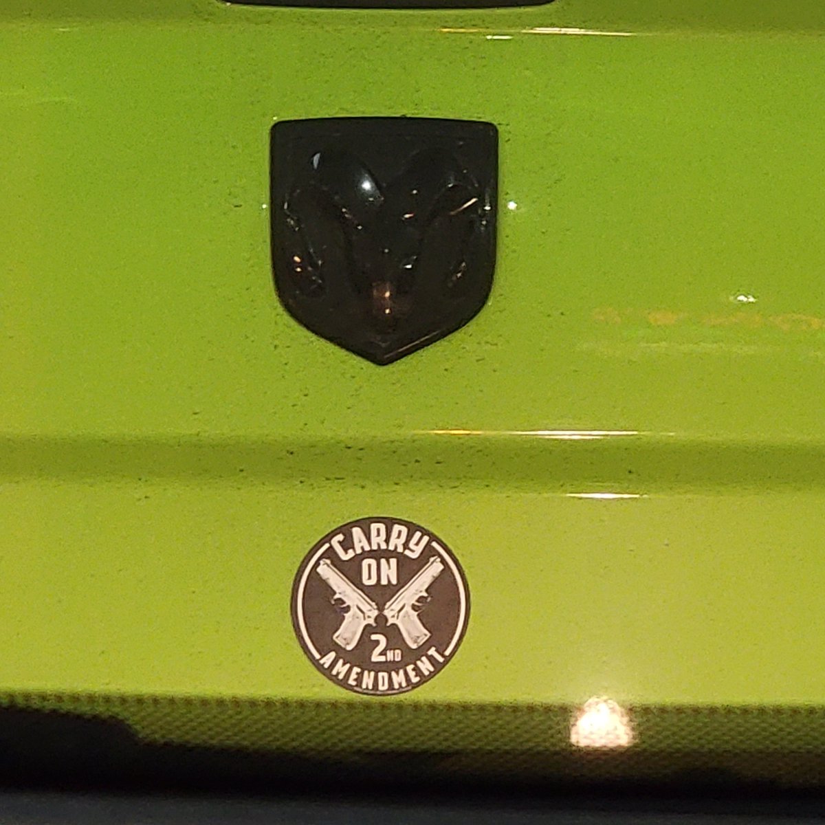 Nothing says "pro guns" like Invader Zim green