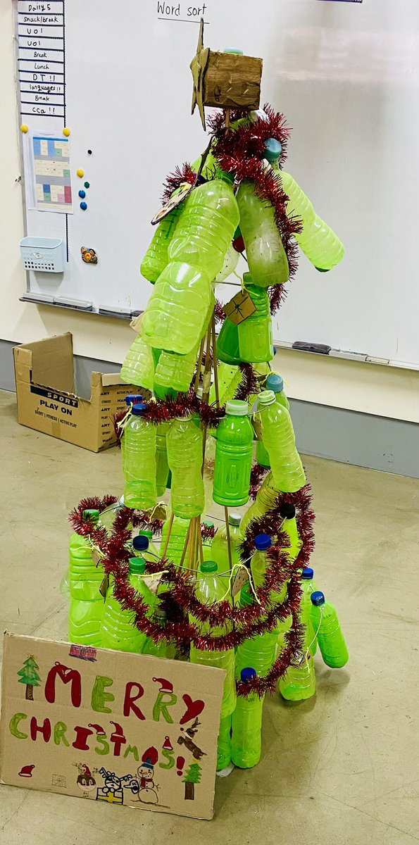 Inquiry into structures. My year 5’s made a Christmas tree out of bottles. #IBPYP #Inquiry