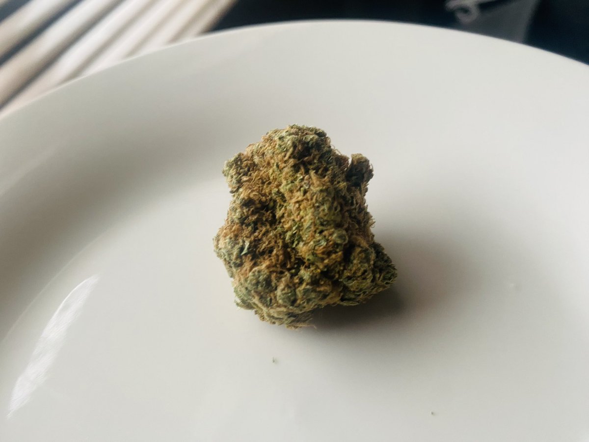 PrivateHerbClub's tweet photo. #HouseOfZwide  Indoor Grown. Based in Durban…Delivery can be arranged anywhere https://t.co/OsMB2IZ89l