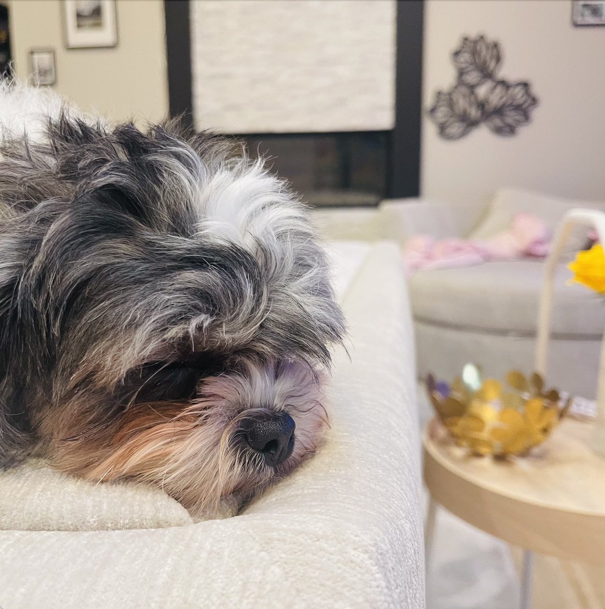 honghao (@honghao) on Twitter photo 