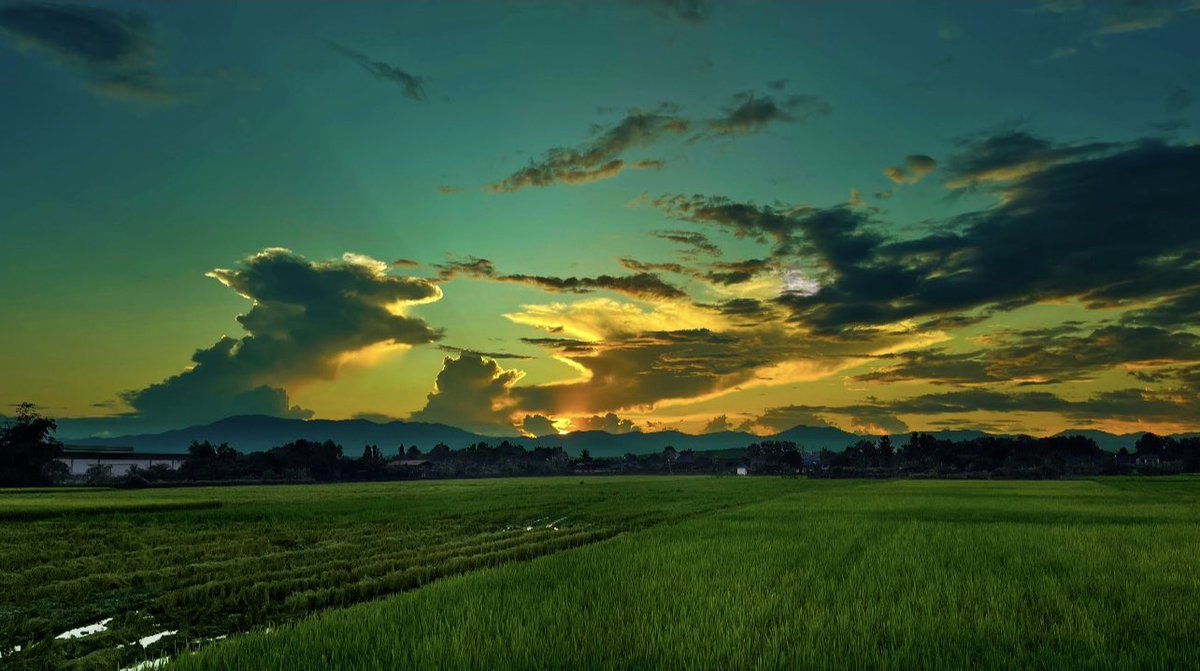 leotanapon007's tweet photo. สำหรับฉัน เธอมีค่ามากและคงหาจากที่ไหนไม่ได้อีกแล้ว 🌈🤍———————————————~
#คําคม #คําคมชีวิต #คําคมความรู้สึก 
#แคปชั่น #แคปชั่นเด็ด #แคปชั่นเศร้า 
#ธรรมชาติบําบัด #หลงรักนักเดินทาง💚 https://t.co/9EmDMJF26J