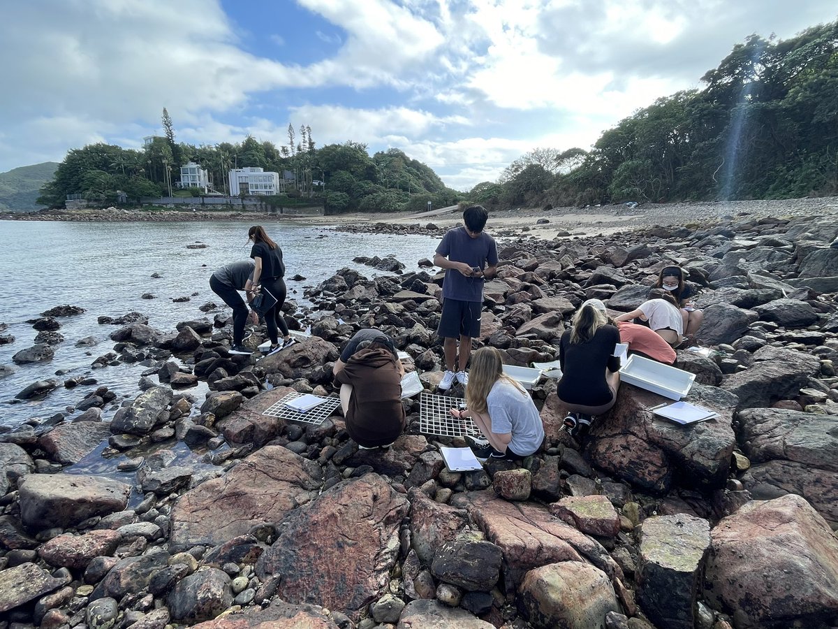 KellettScience's tweet photo. It’s that time of year when the @Kellett_6Form biology students head out to sample the local rocky shore! Such a beautiful day with lots of learning 🤓 https://t.co/eORUhrN599