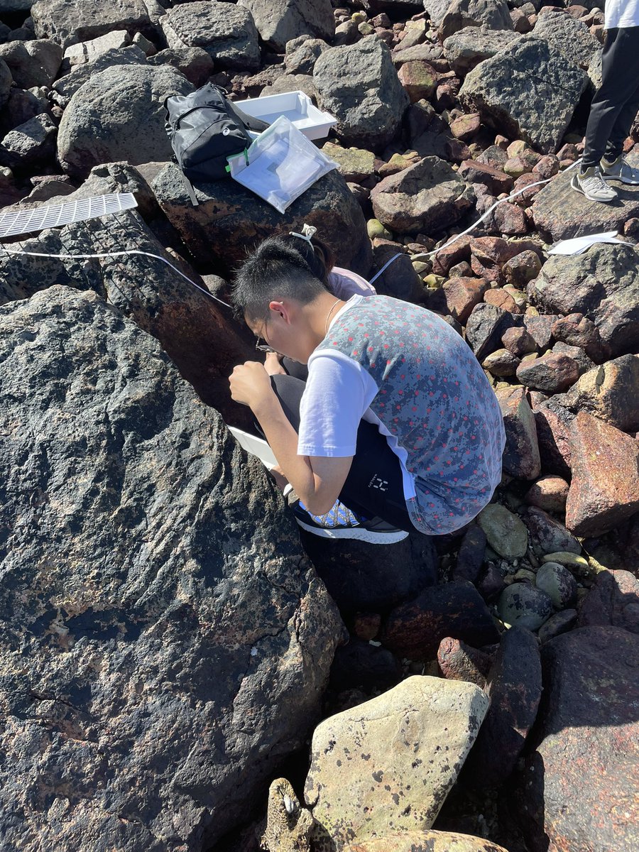 KellettScience's tweet photo. It’s that time of year when the @Kellett_6Form biology students head out to sample the local rocky shore! Such a beautiful day with lots of learning 🤓 https://t.co/eORUhrN599