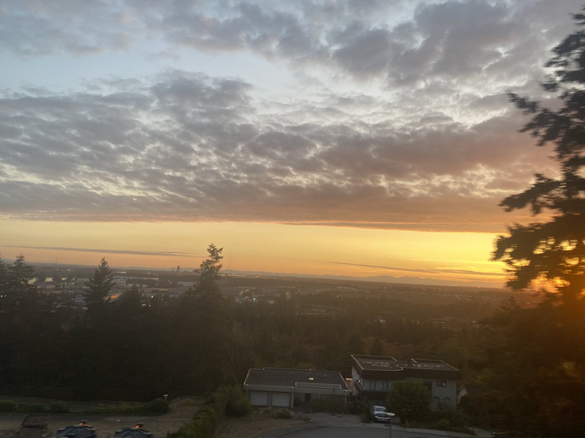HariKJ1's tweet photo. Miss those sunny evenings ☀️ https://t.co/SF3QDD0ROM