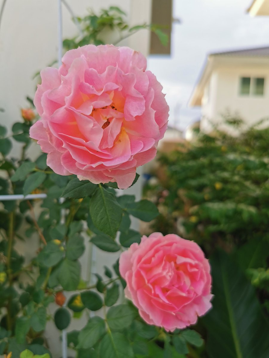 Hames489's tweet photo. https://t.co/KqxpBIRQKF