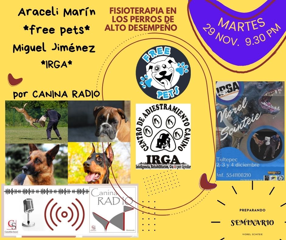 #pasión por la obediencia canina y los perros de alto desempeño.

Disfruta de estos programas, donde el protagonista es el #perro en todos sus sentidos.

#FISIOTERAPIA EN PERROS DE ALTO DESEMPEÑO, nos acompaña ARACELI MARIN Y MIGUEL JIMENEZ

Sigue el programa por facebook live