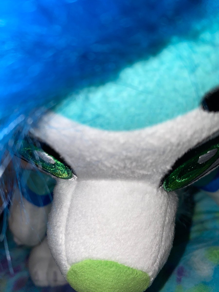 KatWillow5's tweet photo. @BlueFolf Yes https://t.co/LEuQmXFzLl