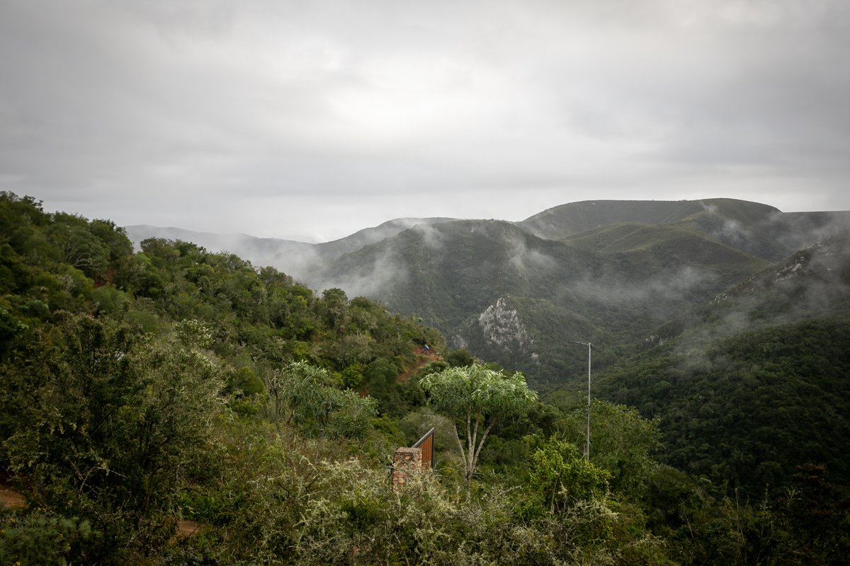greatzuurberg_e's tweet photo. Spot the rider: The valleys and ridges of the Zuurberg mountains have a tendency of making one feel small. But invisible?! If your batteries are flat, join us for a recharge at the @RubiconTech_ #GZTE2023. Enter now: https://t.co/OitzmKTv8v. #GreatOutdoors #GreatImpact https://t.co/t9WfVeyhn8