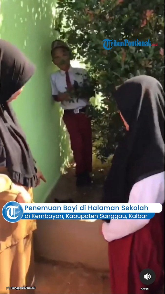 tribunpontianak's tweet photo. Penemuan Bayi di Halaman Sekolah Terbungkus Kantong Kresek di Kembayan Sanggau!
https://t.co/LCVIZ94L1f
#penemuanbayi #kembayan #sanggau #kalbar #bayidihalamansekolah #viral https://t.co/6kkEfcIuCE