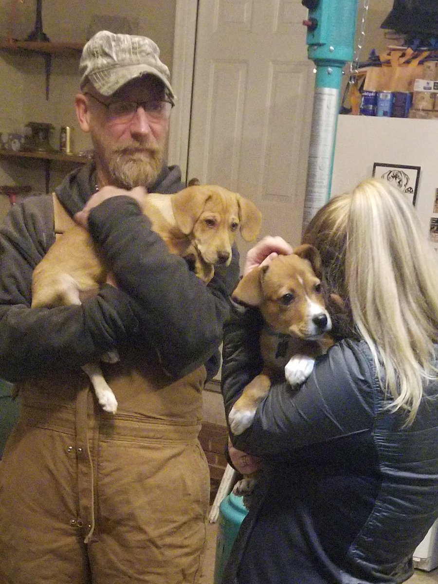 MarleyMud's tweet photo. Hope everyone had a wonderful #Thanksgiving #holiday #weekend! We didn't #RescueTransport this weekend but last week we had 32 #RescueDogs. We unfortunately got caught up in the #snowstorm in Buffalo but all the #pups made it out in great shape! https://t.co/MG2vCquCaA