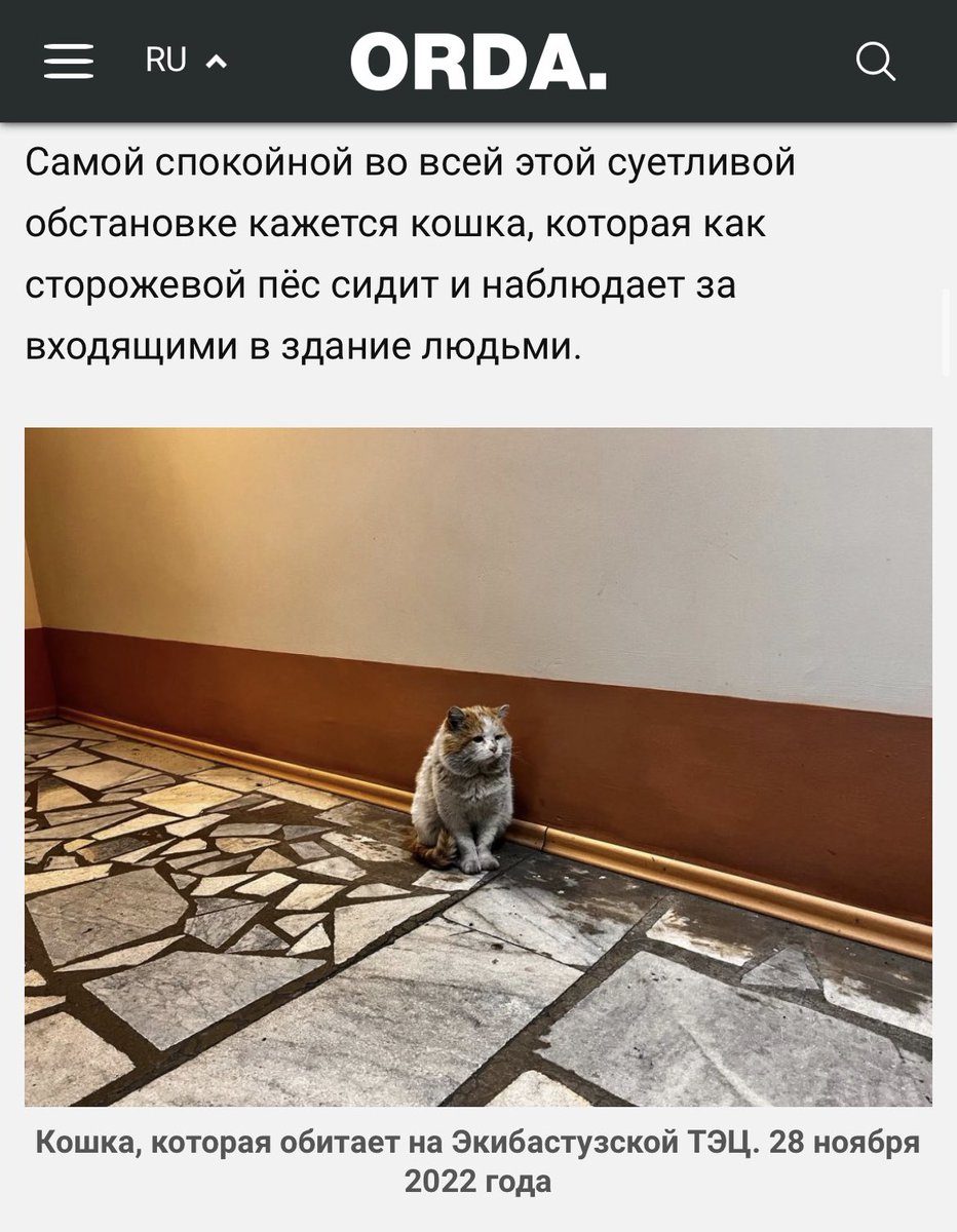 Diana_jmatweewa's tweet photo. Мои друзья открыли сбор донатов на покупку обогревателей, одеял и тд для экибастузцев. Сбор прозрачный, отчеты публикуют.
Помните, что каждый тенге - это вклад в то, что люди не будут мерзнуть в своих домах в -30.
Каспи: 4400 4301 0124 0270 - Жулдыз В.

https://t.co/v2ljAXsT5y https://t.co/2SbVzEwtGf