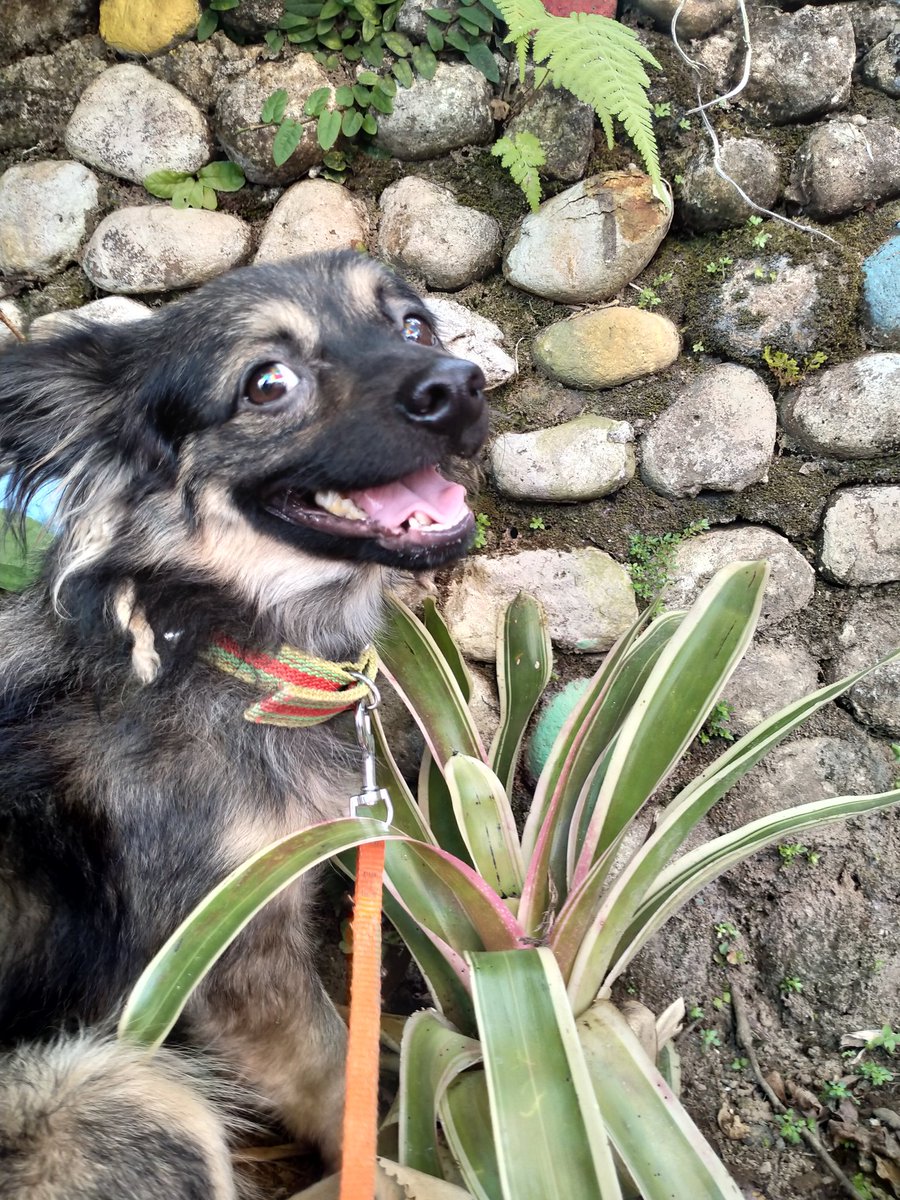 Nicole | Email Copywriter tweet media