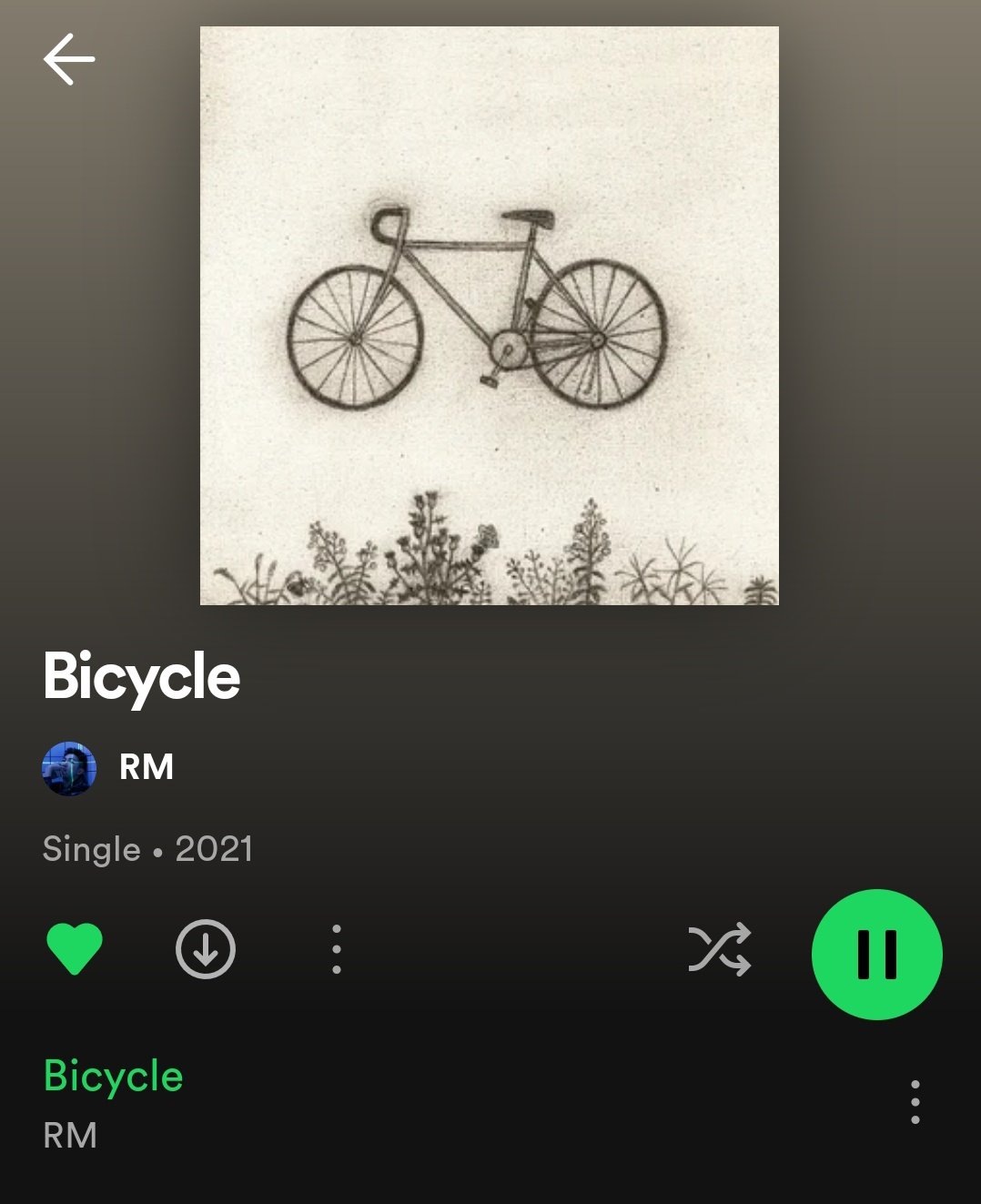 stream bicycle