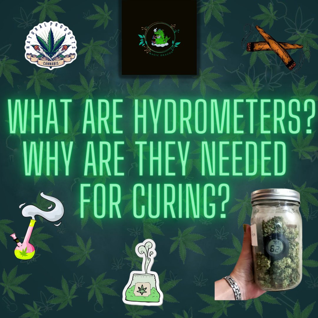 MagicDragonTH's tweet photo. A hygrometer will let you measure the relative humidity within your curing jars most precisely.

Without hydrometers in the curing jars, you will simply be guessing about the mosture levels and will not be able to cure your buds to perfection. 

Read More:
https://t.co/PCM07Hrxk6 https://t.co/4Wprs4g8D9