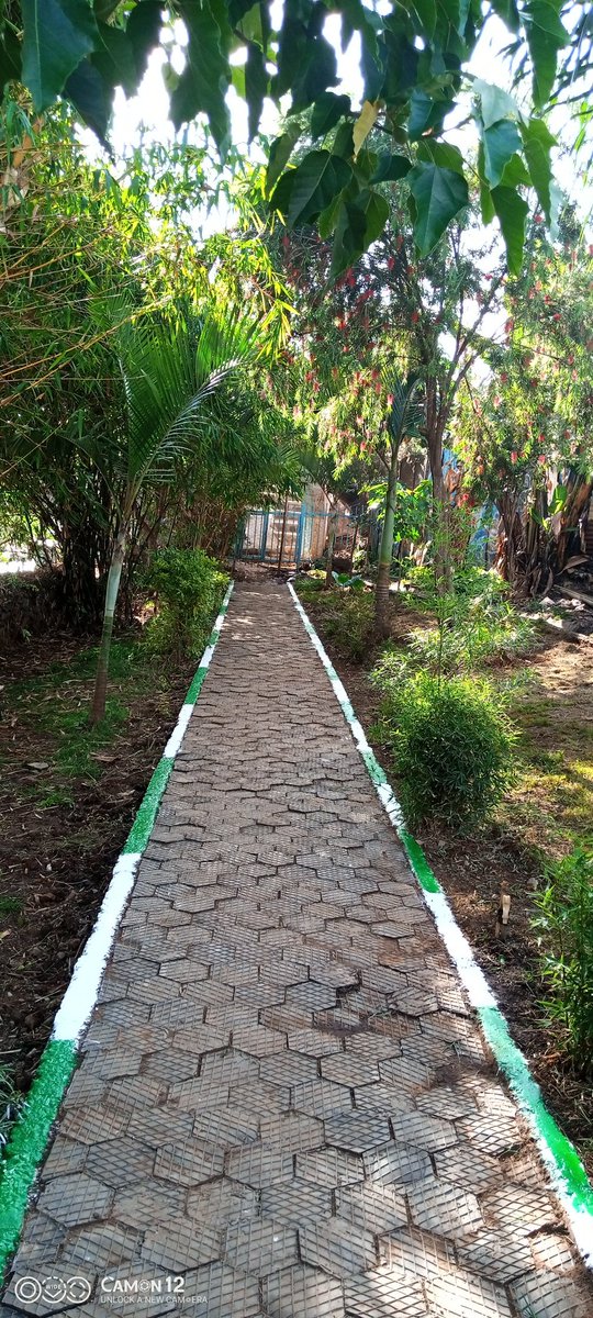 GoTravel_Green's tweet photo. @RobertAlai @WilliamsRuto @SakajaJohnson Before & After Transformation of a section of Nairobi river by a conservation youth group @KombGreen in Korokocho.
These are the kind of progressive ideas to be adopted to create opportunities for youth and collaboration with government. @HonTuya @Environment_Ke @WWFForestCarbon https://t.co/lsbQBWtwlx