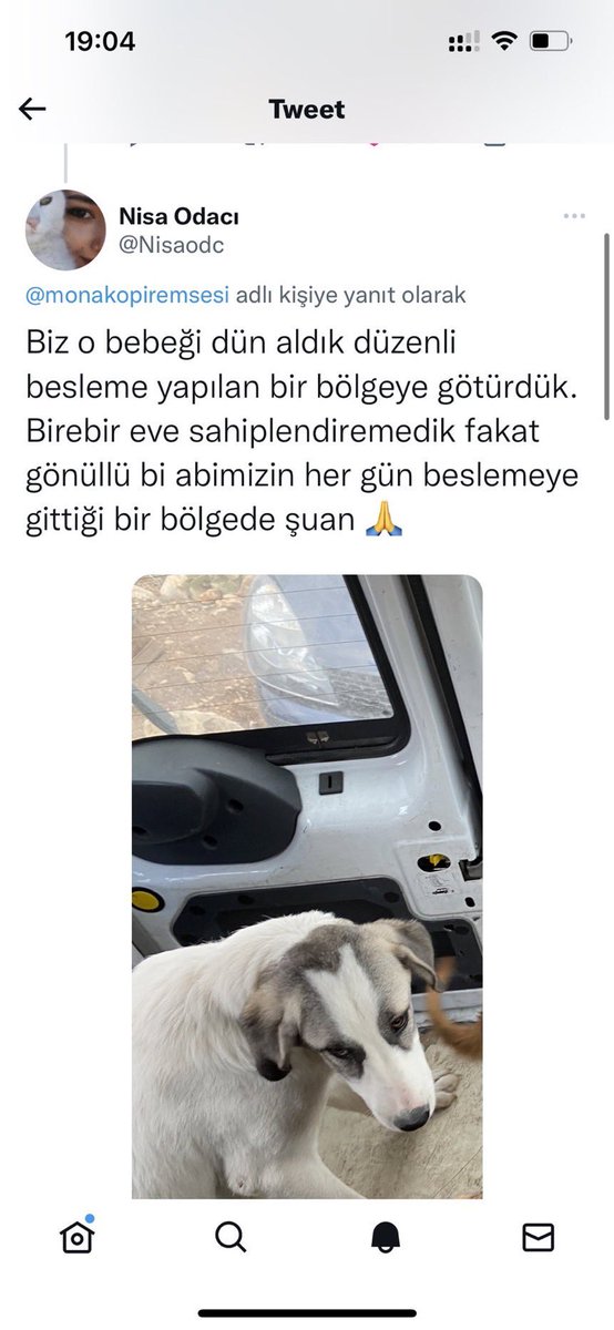 Orhancicek01's tweet image. Sözde hayvanseverler! Yalancılar! Eve aldık deyip sokağa atıyorlar! Çok ahlaksız siniz!

@KopekSorunu
@sultangaziacil
@kopektoplansin
@Tr_Kopek_Sorunu
#KöpekleriUyutun
#SahipsizKöpekler
#SokakHayvanlariSahipsizDegil
#bașıboșkopeklertoplansin