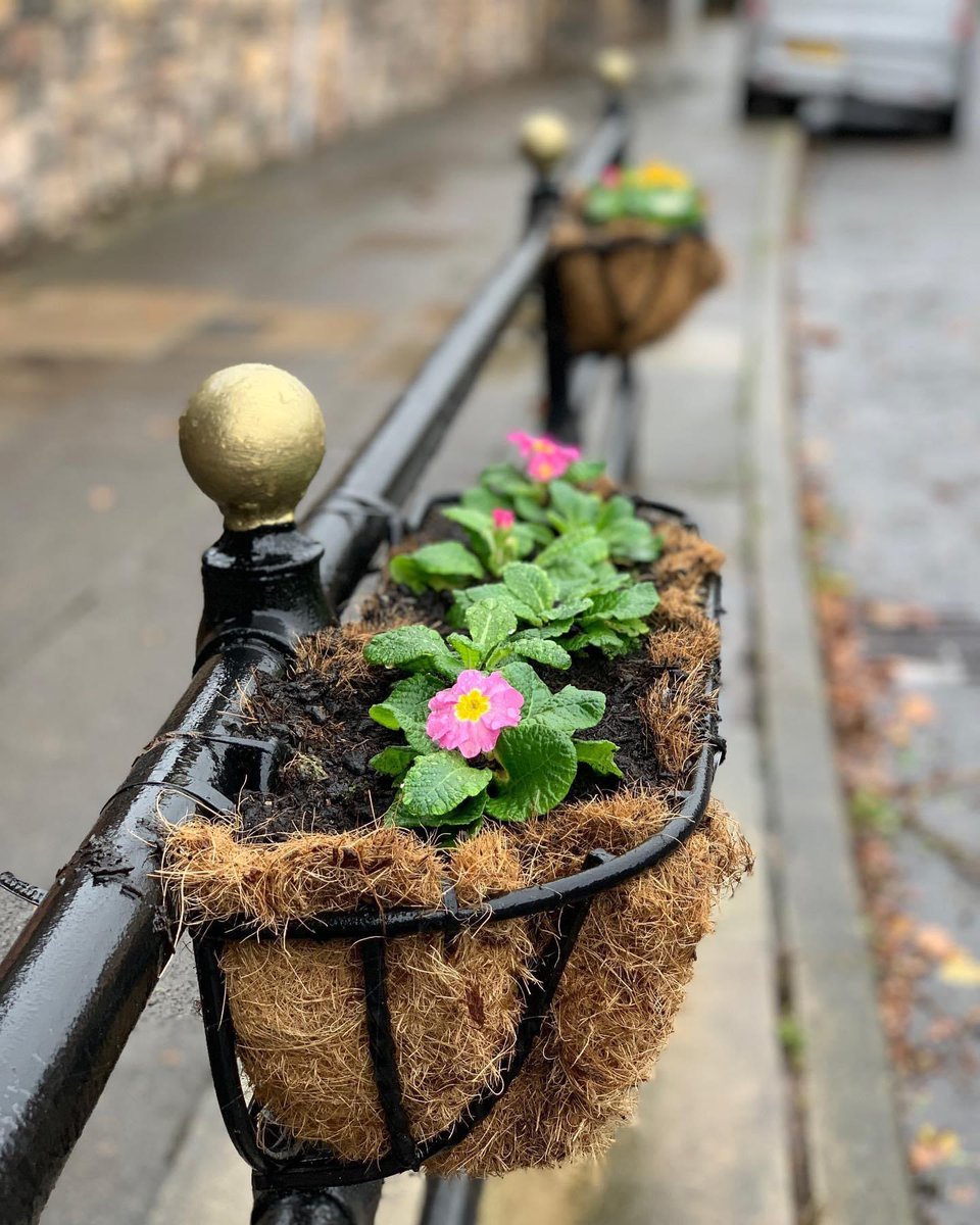 🌷 R E P L E N I S H M E N T 🌷

Our troughs in the Lower Bebington had been looking a little tired recently so the team met to replenish them. We have some primroses which will flower until the end of March.🌼 We also gave the area a little weeding &amp; tidy. #flowers #community