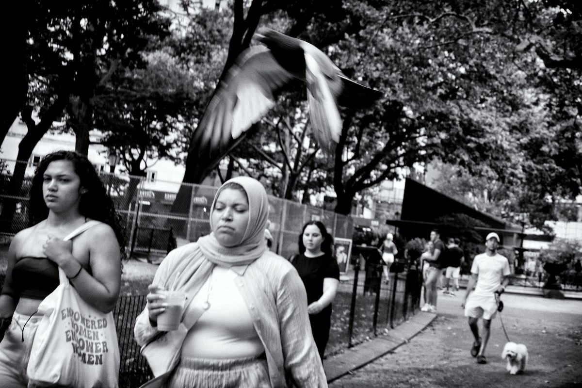 ausdlk's tweet photo. Flying Rat, NYC, 2022
2022 PAW (*) #48
(*) Picture-A-Week

#m10 #leicam10 #leicam10p #leicam10d #leica #leicacamera #nyc #newyorkcity #manhattan 
#streetphotography #everybodystreet #streethunters #nonstop_street #ourstreets #eyeshotmag #lensculture- https://t.co/gQLJ0BhL50 https://t.co/zazRoJLT9x