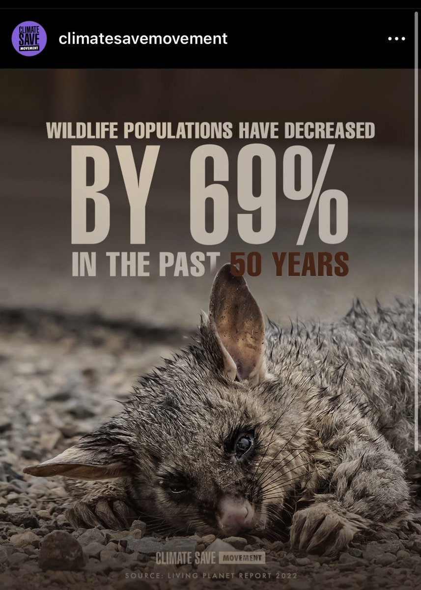 ClimaJoes's tweet photo. This is terrible đ
#climatesavemovement #followbackclimate #climatech #ClimateAction https://t.co/h1BHItZbha