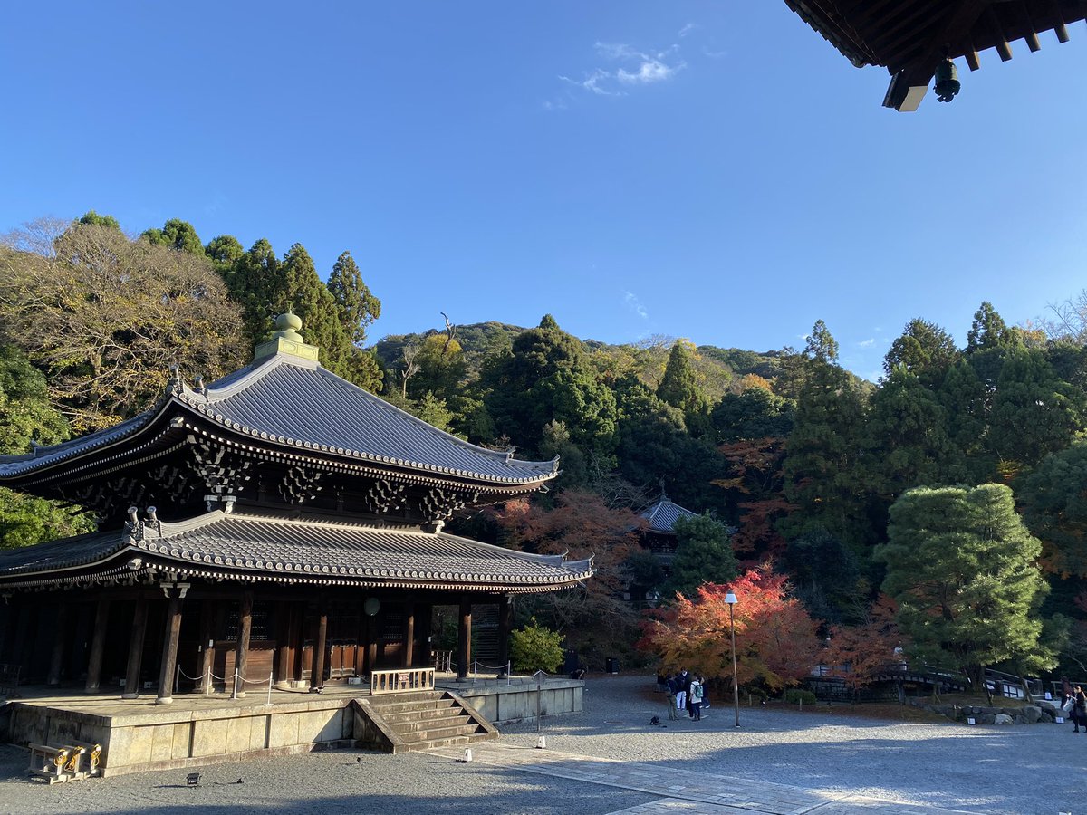 pikumin25709116's tweet photo. https://t.co/vqmA2aM7Dn
