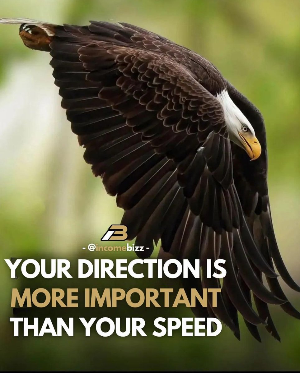 PutraMagiciaN15's tweet photo. Of course I Agree with this🔥 We must Set the Direction🏁 
#race #motivation #business https://t.co/p4bSL1vjCd