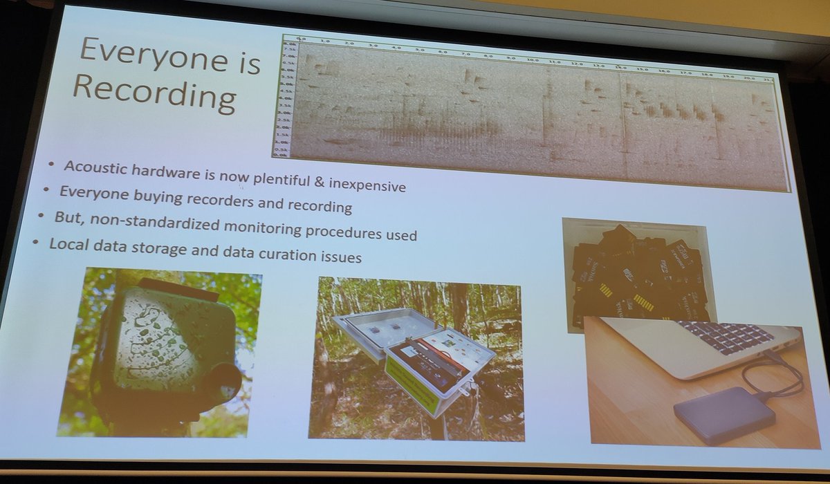 EcoCommonsAus's tweet photo. Speedy talk by Prof Susan Fuller from the @QUTEcoacoustics team! We're very excited to see how acoustic monitoring data is going to be a game changer for the accuracy of our ecological models! https://t.co/SqAwPx7iOA