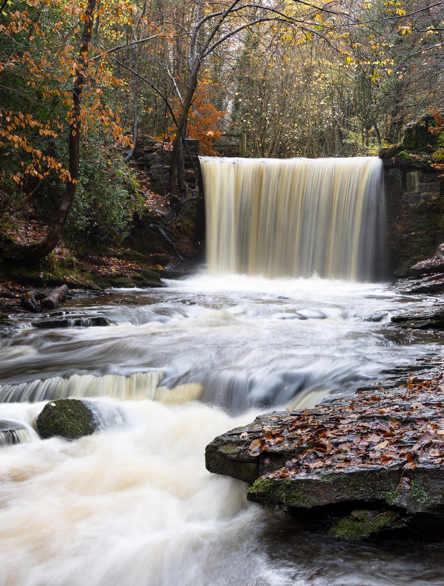 chriskearney7's tweet image. #FSPrintMondat #NantMill