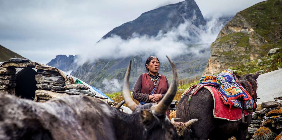 icimod's tweet photo. The resolution is also in line with our Strategy 2030: #MovingMountains that calls for ambitious #ClimateAction to protect the pulse of the planet – the #HKH
Stay tuned for our Strategy 2030 & strategic planning document launch coming soon!
#ProtectThePulse @UNmountains (2/2) https://t.co/08pY0APHsD