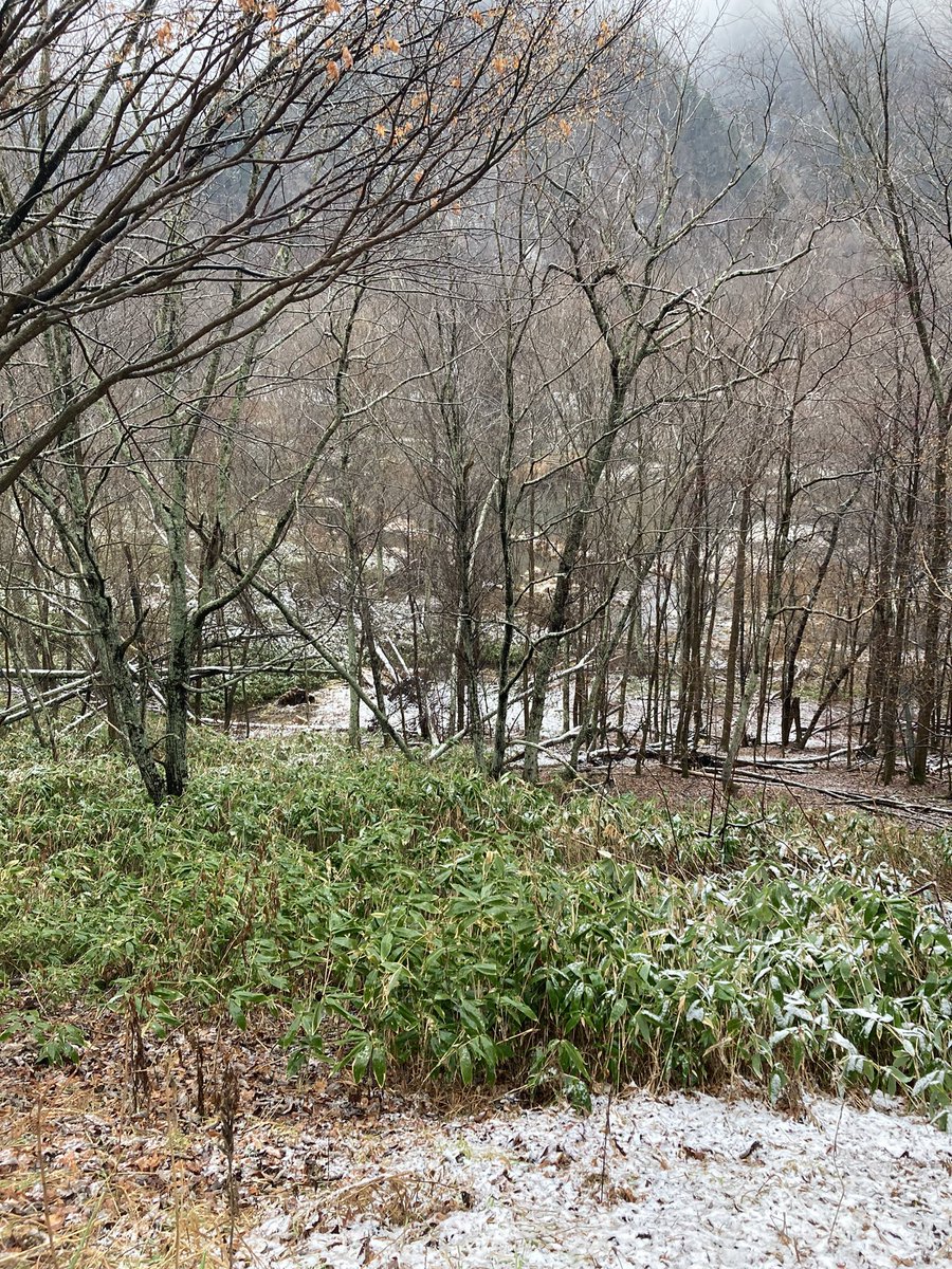 冬本番になりました(^^)