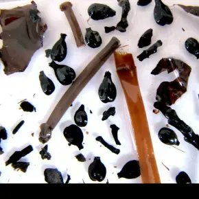 CNRS_OccitaniE's tweet image. #MinuteScience | Comment des pépins de raisin archéologiques ont-ils pu révéler l'histoire des vignes de Champagne ? 

➡️ buff.ly/3GpS4nB 

@isemevol @CNRS @umontpellier @ird_fr @EPHE_PSL @Cirad @INRAE_France