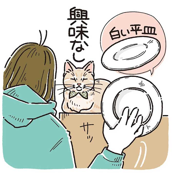 猫は自分のお皿を見分けているのか? 実験結果に、心が和む https://t.co/RQxNDZUxFR @grapeejpより 