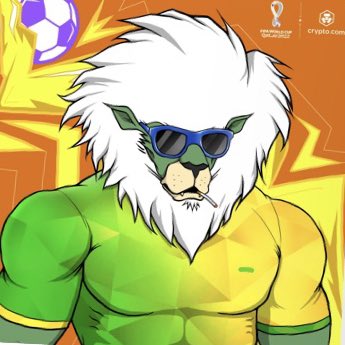 #NewProfilePic great #cybercubmonday #MatchReadyLions  showing support for Brazil Lfg! New profile pic new day who dis!