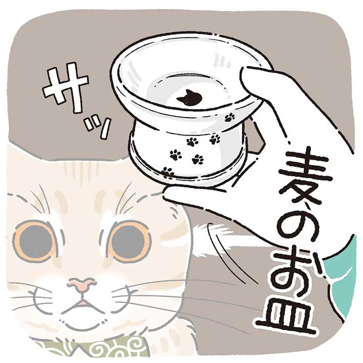 猫は自分のお皿を見分けているのか? 実験結果に、心が和む https://t.co/RQxNDZUxFR @grapeejpより 