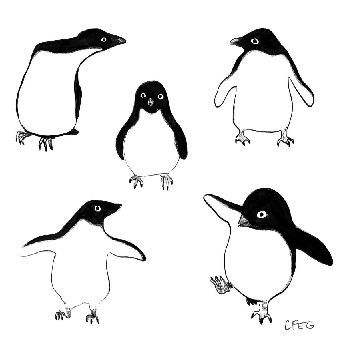 HourlyPinguins (@hourlypinguins) on Twitter photo 