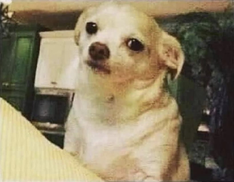 faiththegemini's tweet photo. Me: guess who I fw again yall?🥰

My friends: https://t.co/0GLAocl3R7