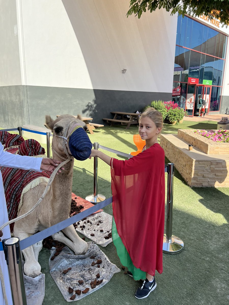 Hani El Taher tweet media