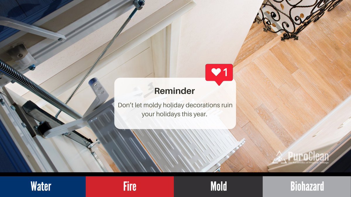 PuroCleanofMel1's tweet photo. Decorating for the holidays may take you into your attic. Take this opportunity to check your #attic which is rarely visited, for #atticmold #waterdamage leaks or spots. If you suspect #mold, contact #PuroClean for #moldremoval #moldcleanup #moldmitigation π² (321) 378-2400 https://t.co/n2aiMsBKM2