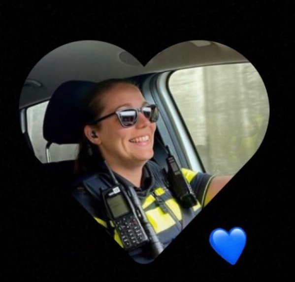 Johan Dubbeldam tweet media