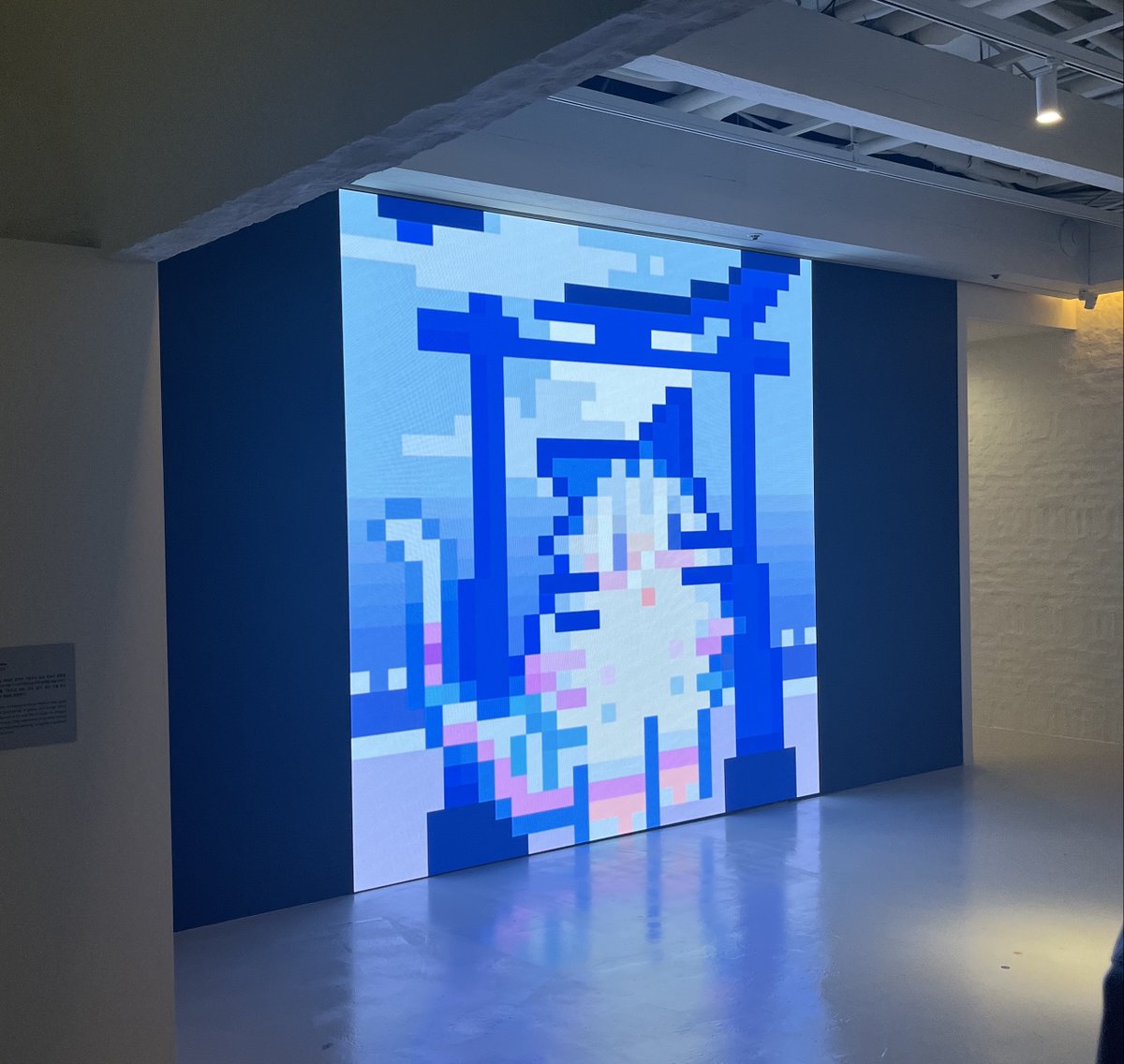 Picky Cat🐈⬛🐾 NFT.NYC 2023🇺🇸 tweet media