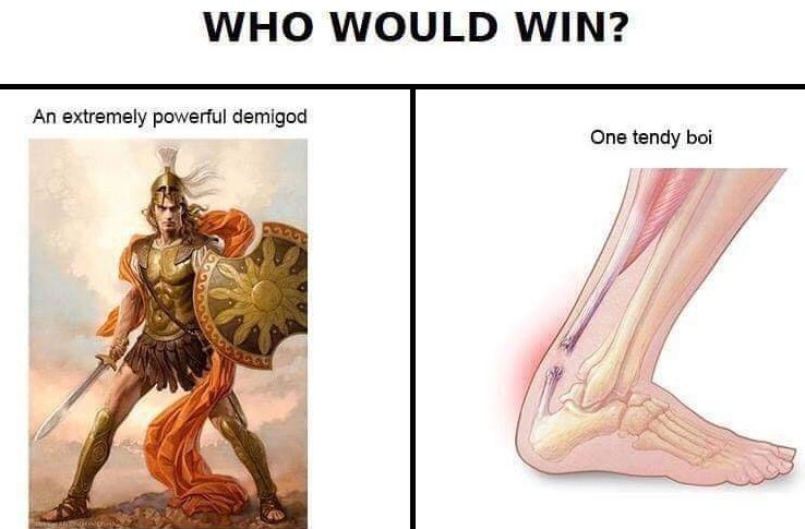 Classical Studies Memes tweet media