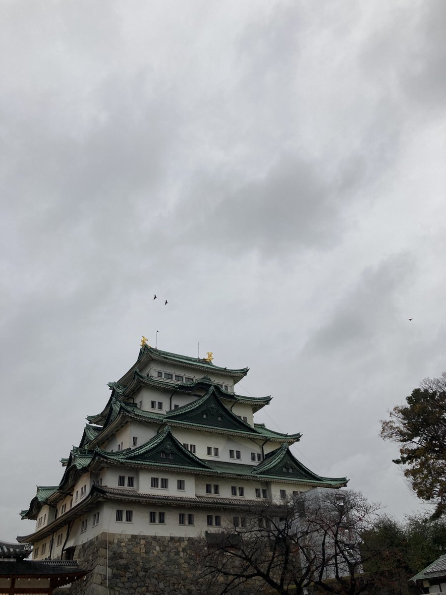 はがみちこ tweet media