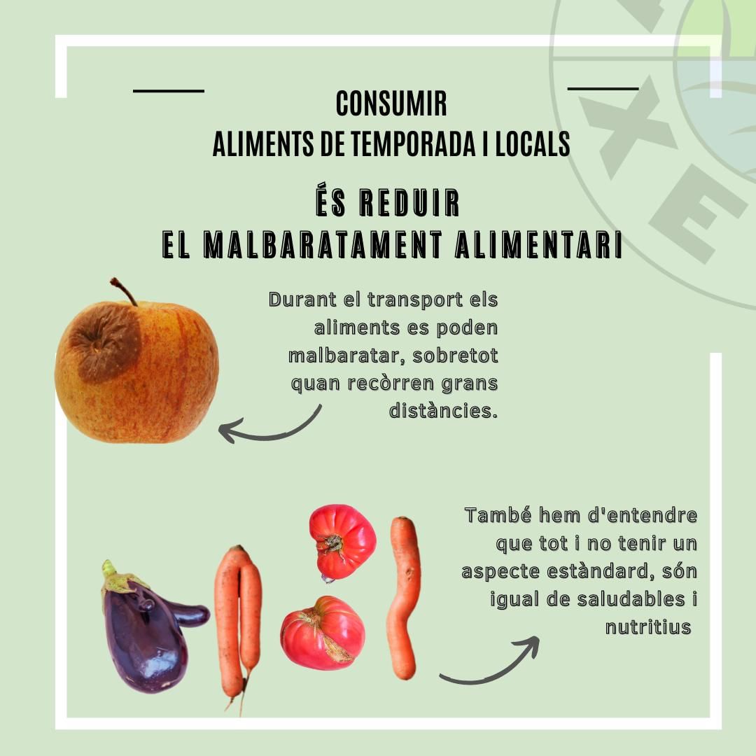 agroxerxa's tweet photo. (1/2)
👌Aqui tens 4 raons per consumir producte local i de temporada
😃Tria la que vulguis!
☝Interessa't per l'origen del que menges.
👍Menja local i de temporada!
#productelocal #menorca #km0 #origen #territori #Local #alimentsdaquimenorca #menjamlocal #productedetemporada https://t.co/ANyNcxzeGS